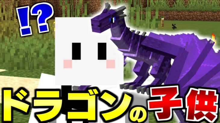 マイクラ ドラゴンだらけの世界で全てのドラゴンを飼いならす 7 ドラゴンのママになりました マインクラフト Minecraft Summary マイクラ動画