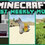 Best Minecraft 1.17.1 Mods of the Week for Forge & Fabric!
