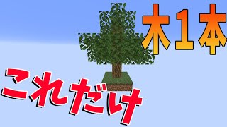 木１本だけの世界でエンダードラゴン討伐します -マインクラフト【KUN】