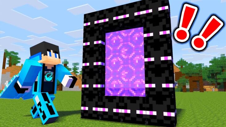 【マイクラ】MOBネザーゲートの中に入るとどうなる？【マインクラフト 】【まいくら】