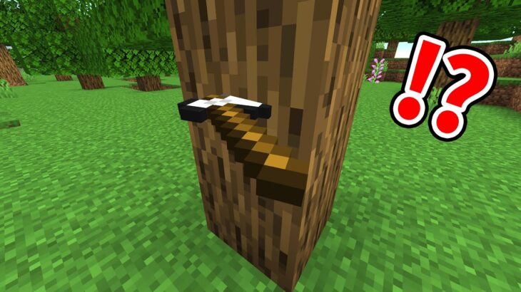 絶対にありえないツールを使うマインクラフト【魁！鳥犬猿MODクラフト #9】