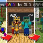 Minecraft BECOME A BABY MOB TILL EVERY MINUTE YOU GET OLDER MOD ! LIFE AS MC NAVEED ! Minecraft Mods