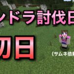 【Minecraft】エンドラ討伐日記3日目【マイクラ】