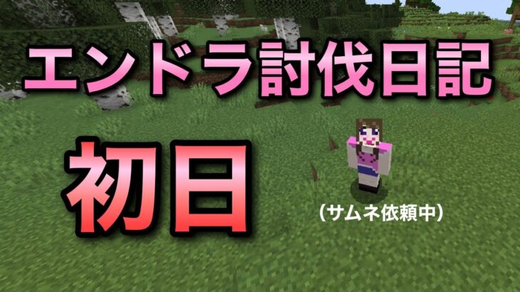 【Minecraft】エンドラ討伐日記3日目【マイクラ】