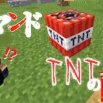 【Minecraft】マイクラコマンド紹介！TNTの雨!? コマンド二つ!!　超簡単！ 　～統合版～