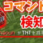 【Minecraft】TNTを持った人を検知するコマンド！（※マルチ可）【コマンド紹介】【Ver 1.12.2以下】