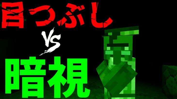 マイクラreal検証 アレが出来た 暗視対目つぶし カミナリ対晴天 統合版 Minecraft Minecraft Summary マイクラ動画