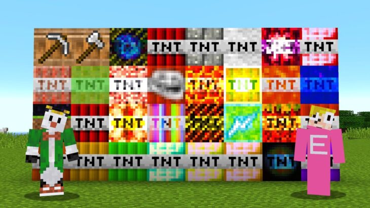 爆発しても死なないTNT当てバトル！【マイクラ】