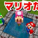 【ゲーム遊び】マイクラ TNTトランポリンでぶっとぶマリオとルイージとキノピコ マインクラフト【アナケナ&カルちゃん】Minecraft