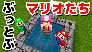 【ゲーム遊び】マイクラ TNTトランポリンでぶっとぶマリオとルイージとキノピコ マインクラフト【アナケナ&カルちゃん】Minecraft