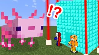 【巨大なウーパールーパーを救出せよ‼️✨】マイクラで最強セキュリティハウスを作って迷子の超デカい生き物を助けよう✨TNTキャノンや自動ベルトコンベアを作ろう！【まいくら minecraft】ぽっぴんず