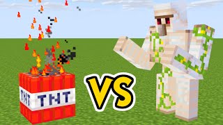 TNT vs アイアンゴーレム【マイクラ】 #Shorts