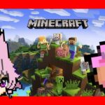 友達のezoと建築配信[Minecraft/マインクラフト]配信