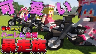 【マイクラ】遊べる乗り物を作って！新キャラ召喚だ！！part4【Touhou Little Maid/ゆっくり実況/マインクラフト/Minecraft/まいくら/東方リトルメイド】