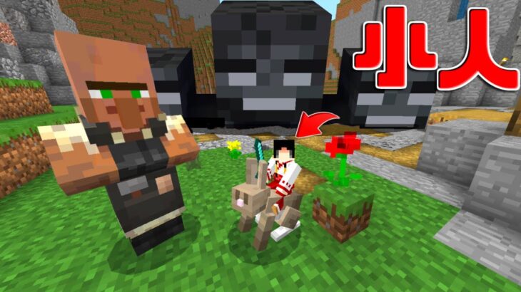 【マイクラ】小人に変えられた世界で悪を倒せ！！【ゆっくり実況】【配布マップ】前編