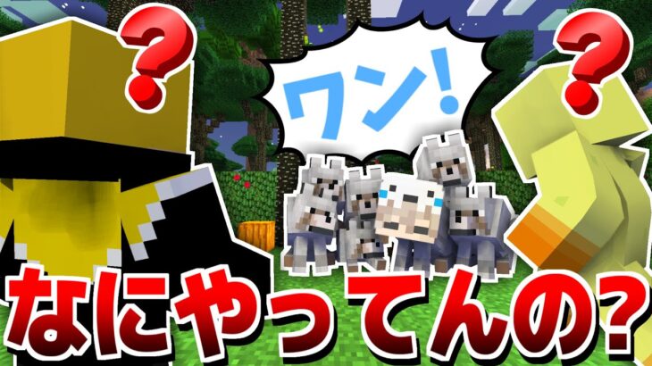 【マインクラフト】冒険してたら謎の珍しい犬がいました【マイクラ / 黄昏の森】【ぷりっつ そらびびび あっきぃ / この城】