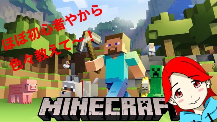 [マインクラフト統合版]参加型概要欄確認！　皆で建築するぞ！！　[初見さん歓迎！]