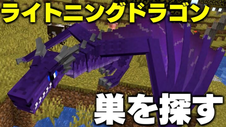 【マイクラ】ライトニングドラゴンの巣を探す