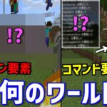 何のアドオン＆コマンドで生成されたワールドか当てろクイズやってみた!![マインクラフト]