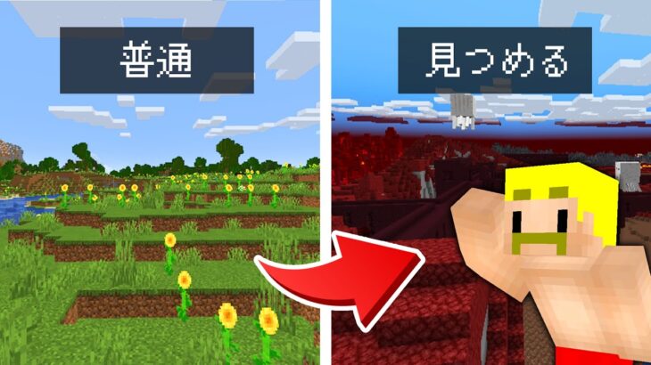 【マイクラ】バグ！？見たところがネザーになる世界がヤバすぎたww #shorts