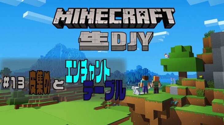 マインクラフト 13 皮集めとエンチャントテーブル完成 生djy Ps4ゲーム実況 Minecraft Summary マイクラ動画