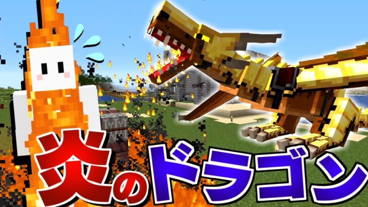 【マイクラ】ドラゴンだらけの世界で全てのドラゴンを飼いならす #14 炎のドラゴンで宿敵を燃やし尽くす【マインクラフト】