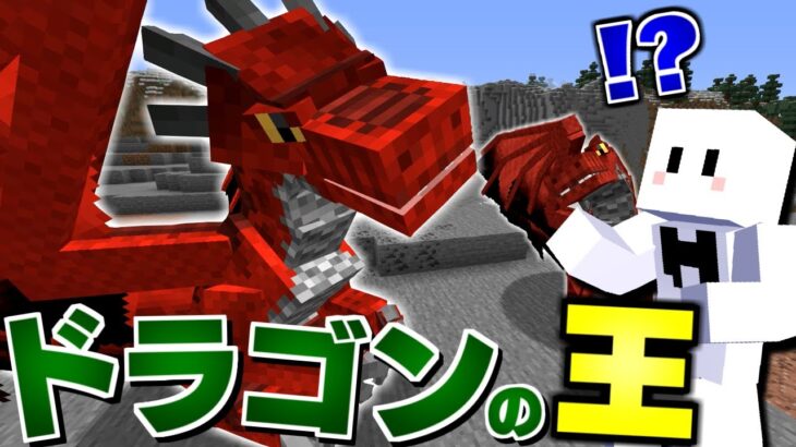 【マイクラ】ドラゴンだらけの世界で全てのドラゴンを飼いならす #15 ドラゴンの王をテイムする【マインクラフト】