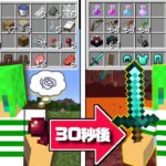 【マインクラフト】30秒ごとに全ての持ち物が『最強のアイテム』になる世界でサバイバル