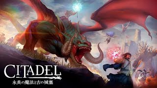 【CITADEL:永炎の魔法と古の城塞】【魔法×マイクラ】鯖は閉じるのにバグや不具合は直さないゲーム！ドラゴン欲しい！常連さんでも初見さんでもいらっしゃい！