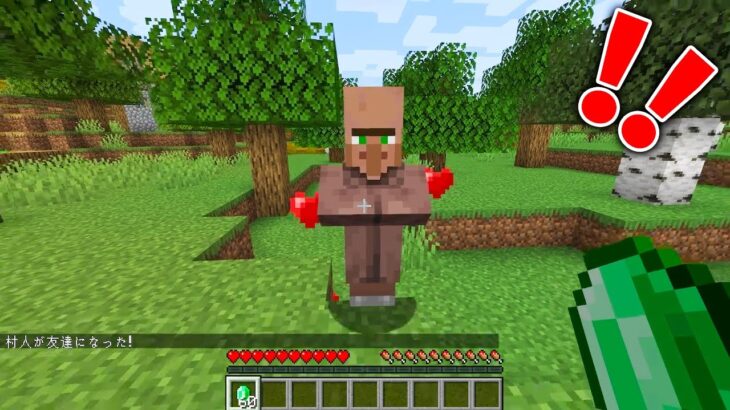 【マイクラ】村人を仲間にしてダイヤをGET？？？？？？？？？？？？