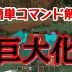 マイクラ統合版 完全に見えます 地下が透視できるコマンドの作り方 スペクテイターモード コマンド Ver 1 17 Minecraft Summary マイクラ動画