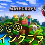 (PS5)【マインクラフト】1日目夜の部！家に煙突つけたい！あと探索いこうの回！