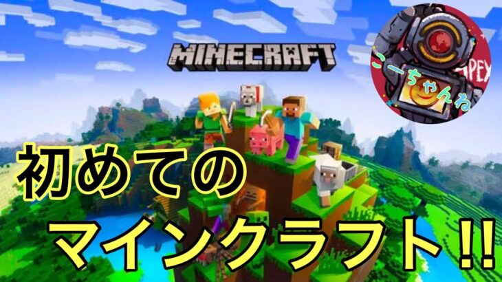 (PS5)【マインクラフト】1日目夜の部！家に煙突つけたい！あと探索いこうの回！