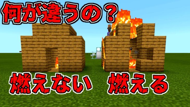 [マイクラREAL検証] 絶対に燃えない幻の木がある！？：統合版 [Minecraft]