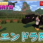 [マイクラ]並走エンドラRTA