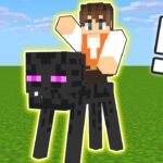 エンダーマンに乗れる裏技!?【マイクラ】#Shorts