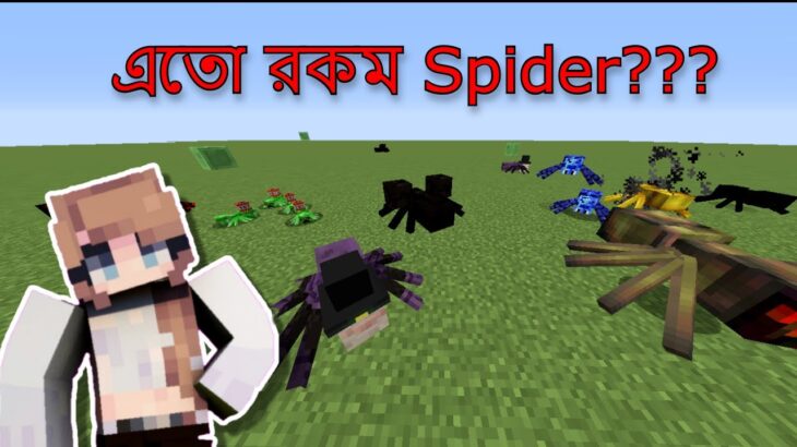 এতো রকম Spider???😱 | Minecraft Mod | BIDUSHI PLAYS