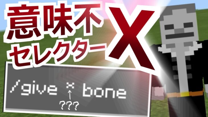 【謎コマンド】どうやって使うの！？「セレクターX」の正体を解明していく！＆前回の完全上位互換コマンドの紹介とお詫び【マイクラBE】