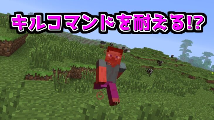 マイクラ検証 Killコマンドを耐える方法があることを知っていますか ゆっくり実況 マインクラフト Shorts Minecraft Summary マイクラ動画