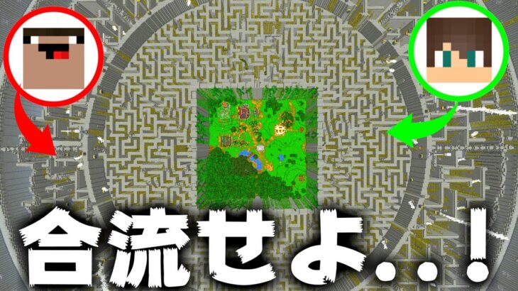 大迷路の中で合流をめざせ！！！【マイクラ】【マインクラフト】