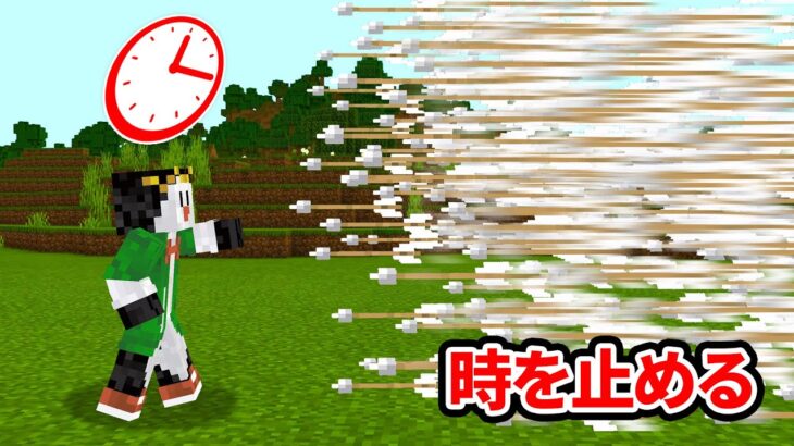 時を止められる最強アイテムがヤバすぎたマインクラフト【マイクラ】