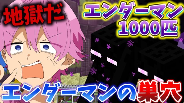 【マイクラ】クリア後に行ける世界『エンド』がこの世の終わりだった【すとぷり】【まいくら】
