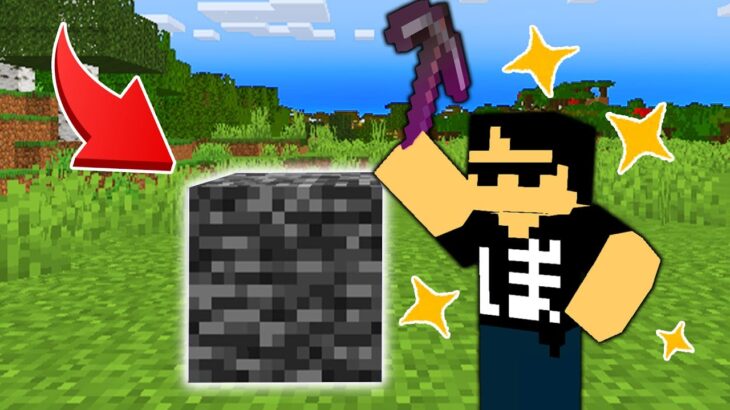 【マイクラ】ツルハシで岩盤壊してみたwww#shorts
