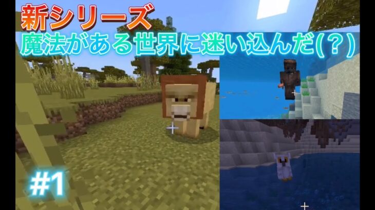 【マインクラフト統合版】「魔法の世界で暴れる」その1