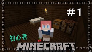 豆腐建築でもいいじゃない｜マインクラフト #1