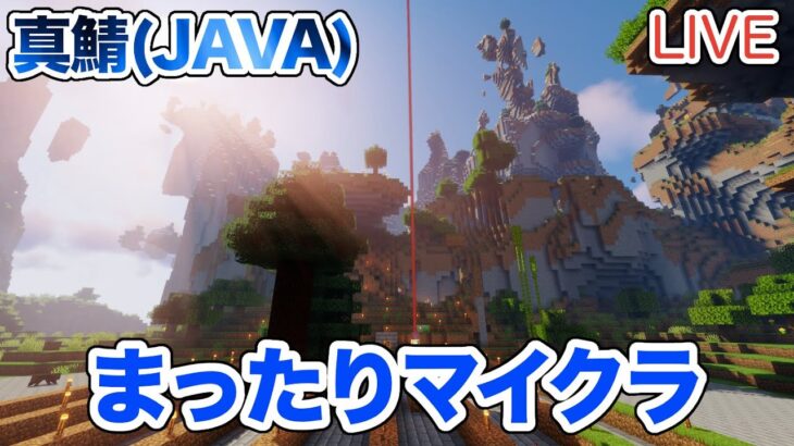 【マイクラ】LIVE：まったりマイクラ！ブラマイ場の地上を整備しよう！（真鯖448）