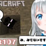 【MINECRAFT】ピグリン砦のお散歩からの建築の続き！/More architecture from the walk at Fort Piglin! マイクラ実況【新人vtuber】