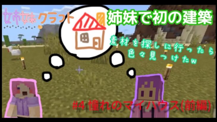 【マイクラ】建築素材を探しに行ったら珍しいもの見つけた！！【Minecraft】