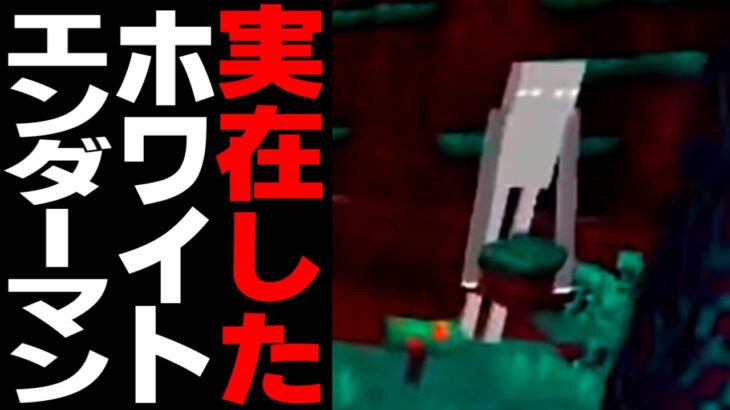 [マイクラ] ホワイトエンダーマンは実在した！：実際の映像あり [Minecraft]