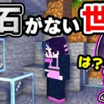 🍁【マイクラ】鉱石がない世界でサバイバルしたらどうなる？【ゆっくり実況/マインクラフト/Minecraft/まいくら】